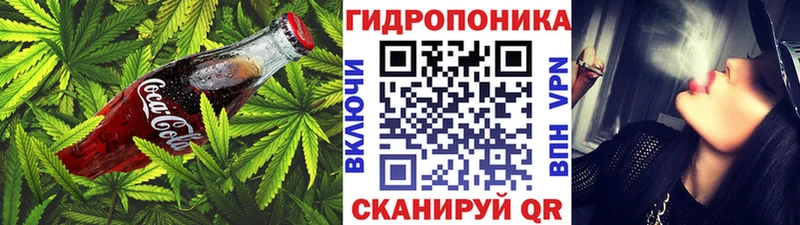 Cannafood конопля Купить где Звенигово