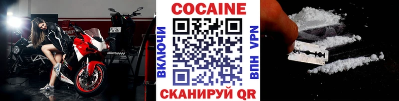 COCAIN Fish Scale Купить Звенигово