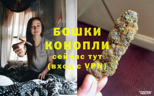 прущие грибы Богданович