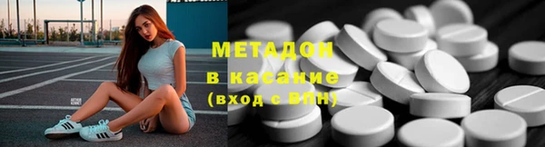 прущие грибы Богданович
