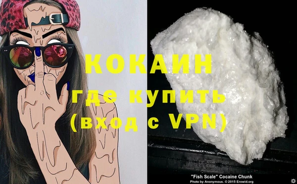 прущие грибы Богданович
