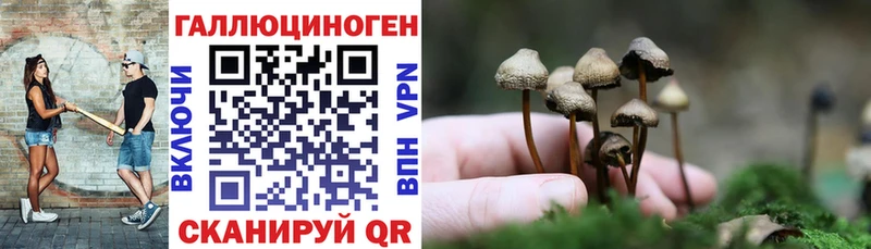 Галлюциногенные грибы прущие грибы  Купить где  Звенигово 